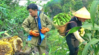 Harvest corn, boil it and sell. Catch a new nest of ground bees to raise for honey.  Forest life