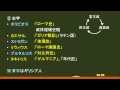 〔世界史・古代ローマ〕古代ローマ文化 －オンライン無料塾「ターンナップ」－