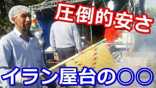 【※テロップなし】この内容で105円!?イラン屋台の満足度激高な炭火焼きケバブの作り方