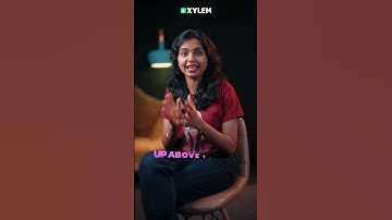 മാനത്തേയ്ക്ക് / Up Above The Sky | Xylem Class 4