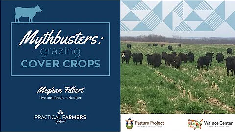 MYTHBUSTERS: Grazing Cover Crops