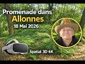 Spatial 3D - 6K - 50 IPS - Promenade dans Allonnes -18 mai 2026 360 LR