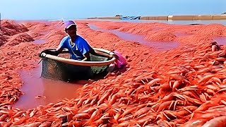 Inside Shrimp 🦐 Farm: How are millions of shrimp  produced in an industry worth 80 billion dollars? by WiseGen 1,254 views 1 month ago 9 minutes, 8 seconds
