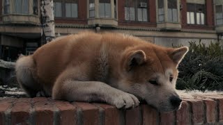 Время пострелять, между нами пальба...пау пау пау