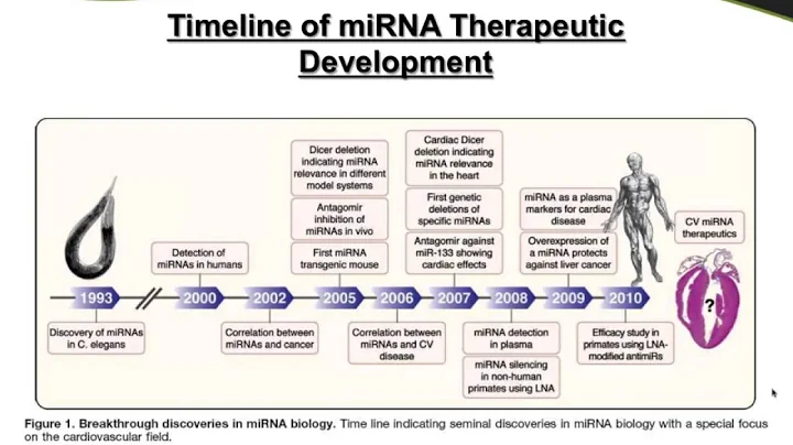 Timeline for miRNA Therapeutic Development