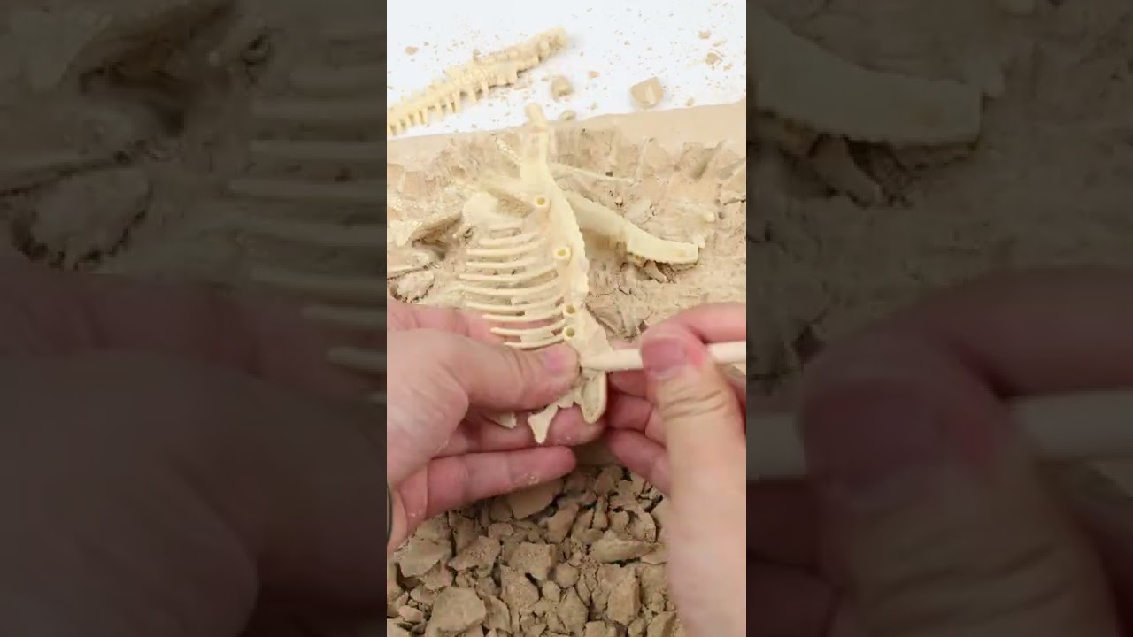 Dinosaur Archaeological Excavation Toys