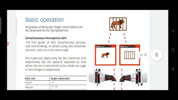 BASIC OPERATIONS OF SYNAPTOPHORE | How to start with a Synaptophore