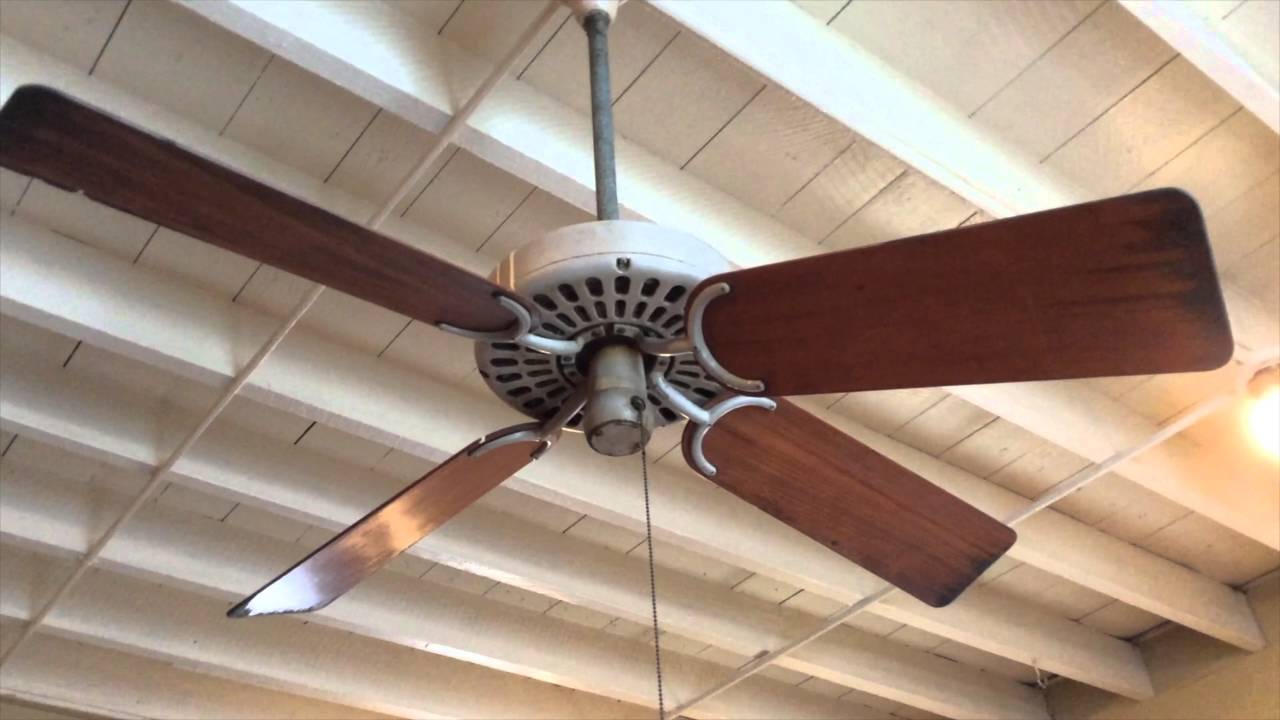 52" Hunter Original & R-52 Ceiling Fans in a Restaurant ...