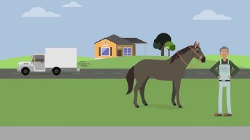 Bailey v. West Case Brief Summary | Law Case Explained