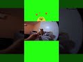 ANIMAL-HOUSE EC REEL