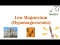 Low magnesium (Hypomagnesemia) | Causes, Symptoms, Treatment | & Role of Magnesium, Dietary Sources