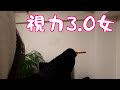 嫁はんの視力検査したら異次元レベル叩きだしたｗ