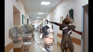 Кошачий дурдом: В больнице (full episode)