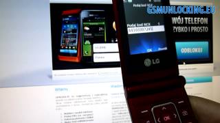 How To Unlock Lg A133 Via Code  How To Enter Code