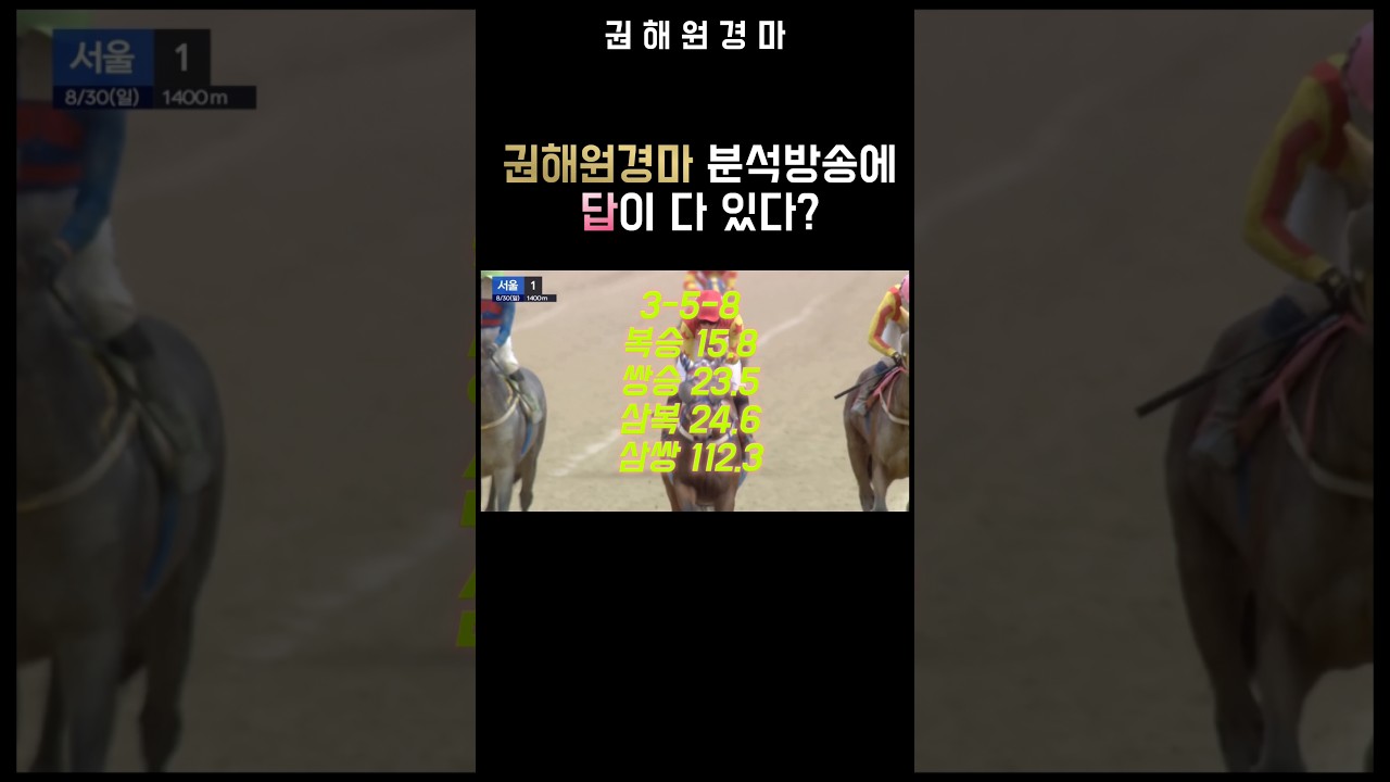 [경마분석방송]답이 다 있다고? 직접 확인해봤습니다 #권해원경마