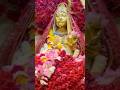 Jai Sheetla Maa Aaj ki Arti🙏#sheetlamata #navratri #maadurga #trending #viral #viralshorts #trend