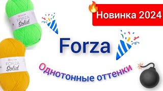 Forza Solid - сенсация 2024 года! Новые оттенки едут! Обзор палитры и поболтать 😃