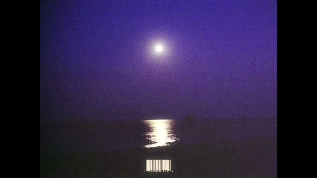 Frank Ocean Type Beat ~ Seigfried Prelude