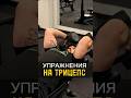 Упражнения на трицепс  #спорт #спортивныедобавки #sports #biovin #рекомендации