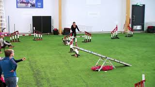 International Agility Training Week - Learning to look the landing - preview