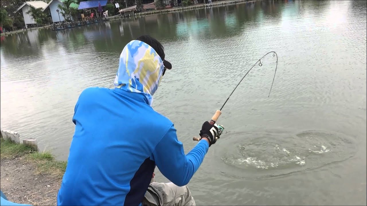 SHIMANO CARDIFF Area Limited 62SUL-F