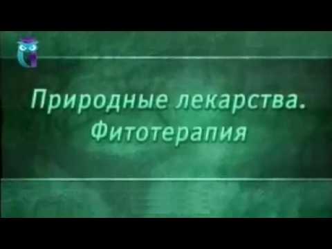 Фитотерапия. Урок 1.5. Адаптогены. Часть 4