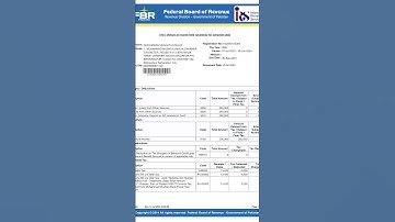 FBR PAKISTAN | Hoe u aangifte 2024 indient | Salaris ondernemer Normale belastingaangifte | Bankw...