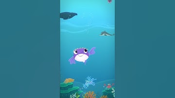 Kids, got a question about marine life, Kaurna culture or how to protect our oceans? Ask me, Porci!