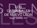 Que Daria Yo - Los Cardenales de Nuevo Leon