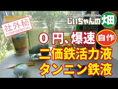 タンニン鉄と二価鉄液の作り方。野菜や花がすぐに吸収できる二価鉄の手作り活力液は10分で、0円で自作できます！