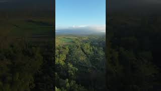 Menerbangkan Drone DJI Mini 3 pertama kali #dji #djimini3 #dronepemula