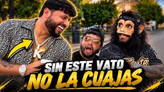 I told OZZ that nobody watches him without TONY AGUIRRE / stupid monkey