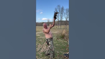 1st Turtle of the year! #liveaction #viralvideo #turtle #turtleman #wildlife #shorts