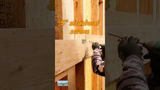 Floor Framing Balloon Framed House #framing #construction #diablotoolsambassador #building