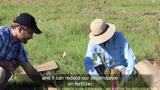 Agroecology