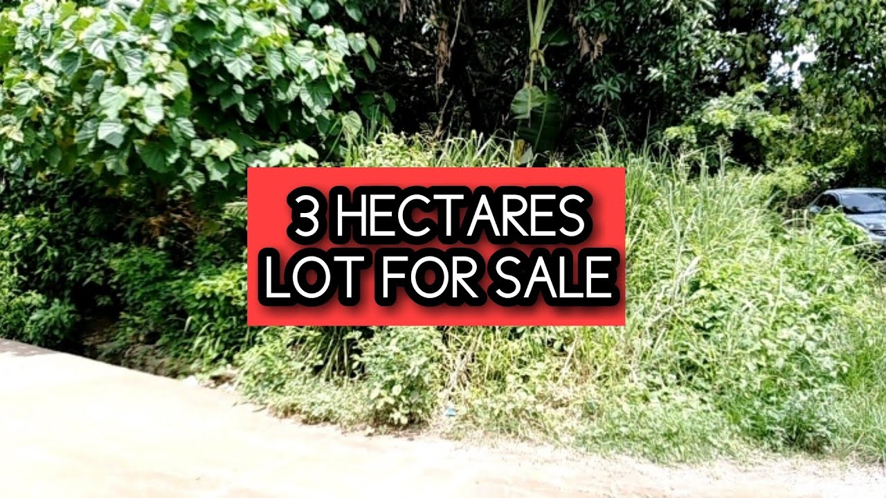 3 HECTARES LOT FOR SALE IN BATAAN PHILIPPINES LOT FOR SALE IN THE