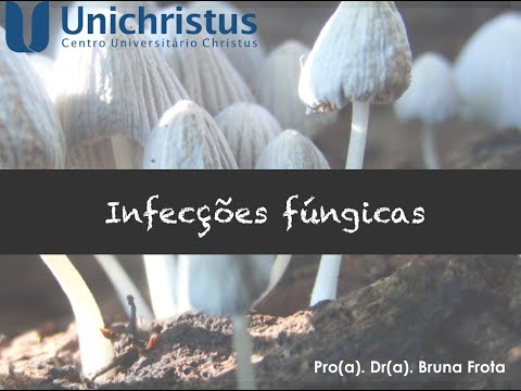 Vídeo: Infecções Fúngicas Em Peixes