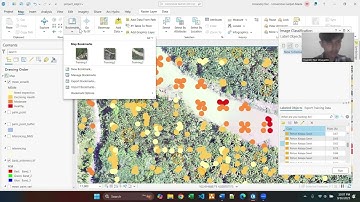 SDGL Acara 3 Object Detection Berbasis Deep Learning Untuk Monitoring Kesehatan Pohon Sawit