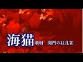 海猫 神野美伽 歌唱 関門の紅孔雀