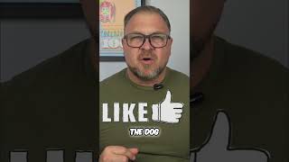 YouTube Strategy Let the Tail Wag the Dog! #lukespointsandmiles YouTube Strategy Let the Tail Wag the Dog! #lukespointsandmiles