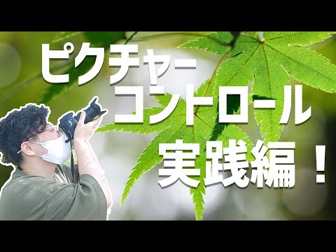 ピクチャーコントロールを使いこなそう！【実践編】