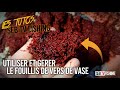 Tout savoir sur le fouillis de vers de vase  tuto 016