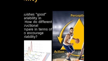 100 – The Why, What, How & When of Movement Variability