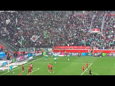 Bayer Leverkusen - Werder Bremen 1:1 - Veljković Goal