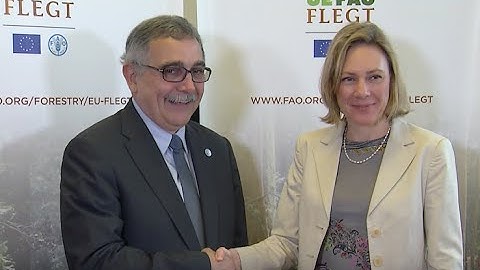 Ending illegal logging, country by country