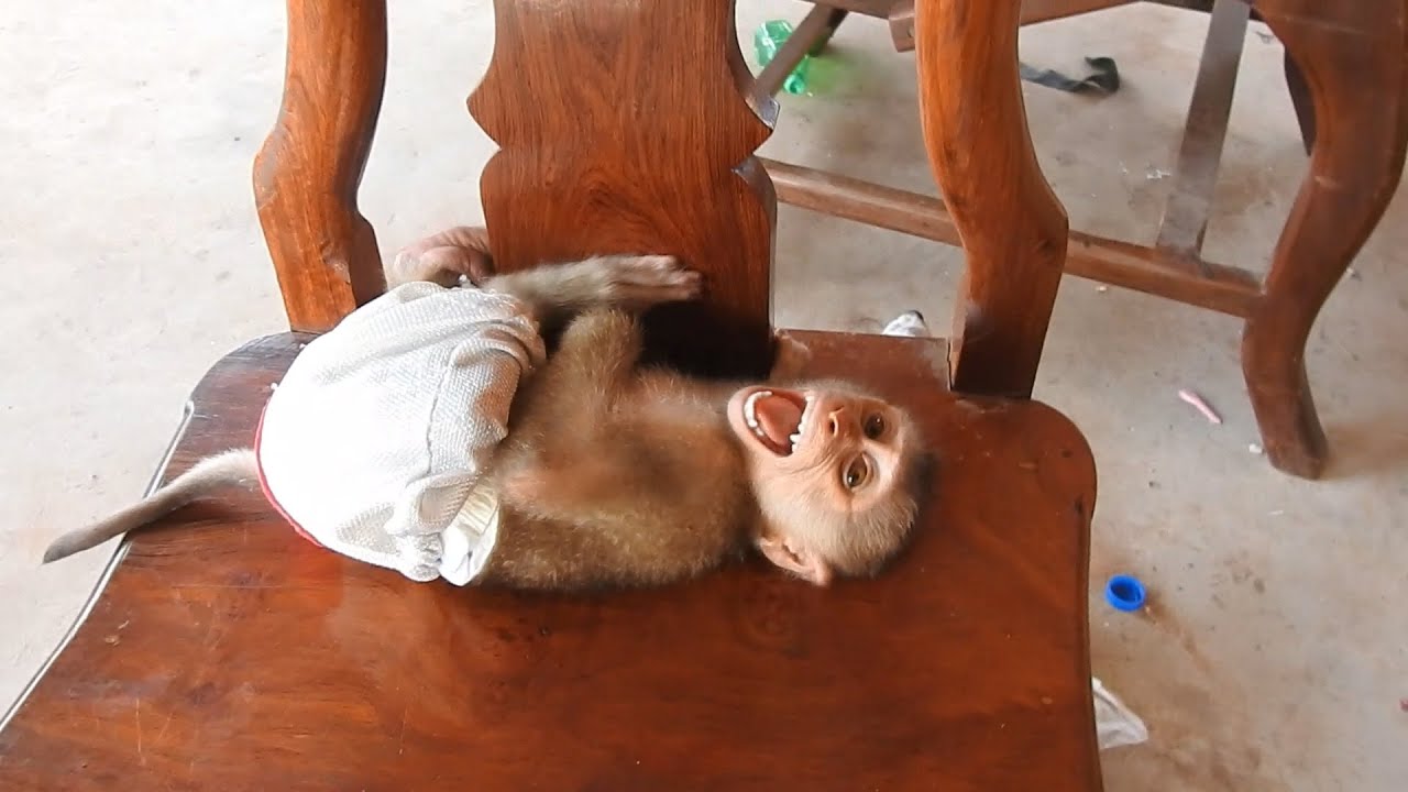 Morning Ploy Can Not Stop Cry Loudly Want Follow Mom Go To Market