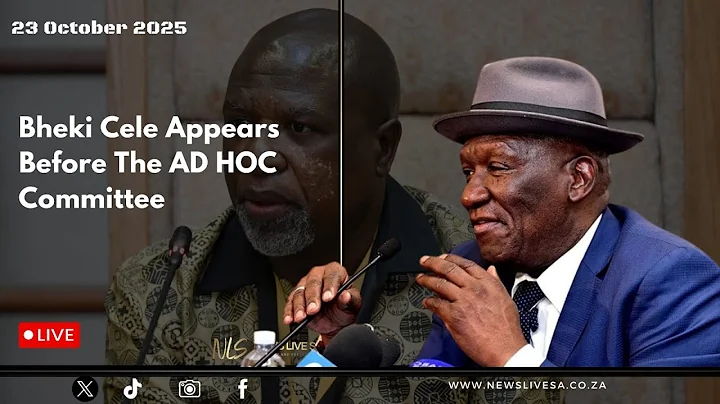 Ad Hoc Committee Investigate Allegations by Lieutenant General Nhlanhla Mkhwanazi, 23 October 2025
