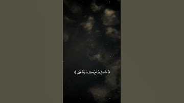 (والنجم اذا هوى. ما ضل صاحبكم وما غوى) سورة النجم | ياسر الدوسري