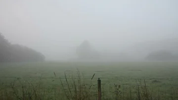 Ochtendmist in de Smaldonk Schijndel 18-10-2022 (3)