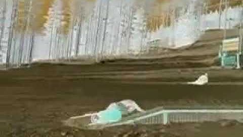My Snowboarding Skillz in G Major Reversed
